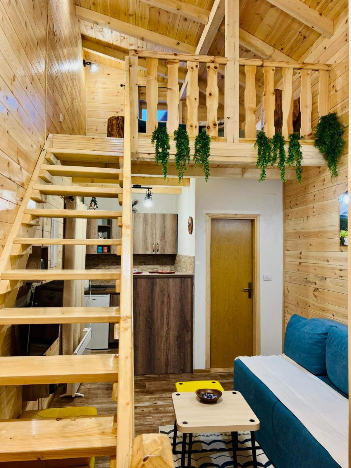 Apartmani Bozana Vojinovic Žabljak Esterno foto